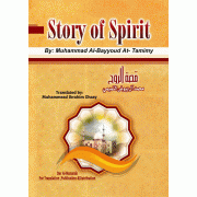 Story of Spirit
